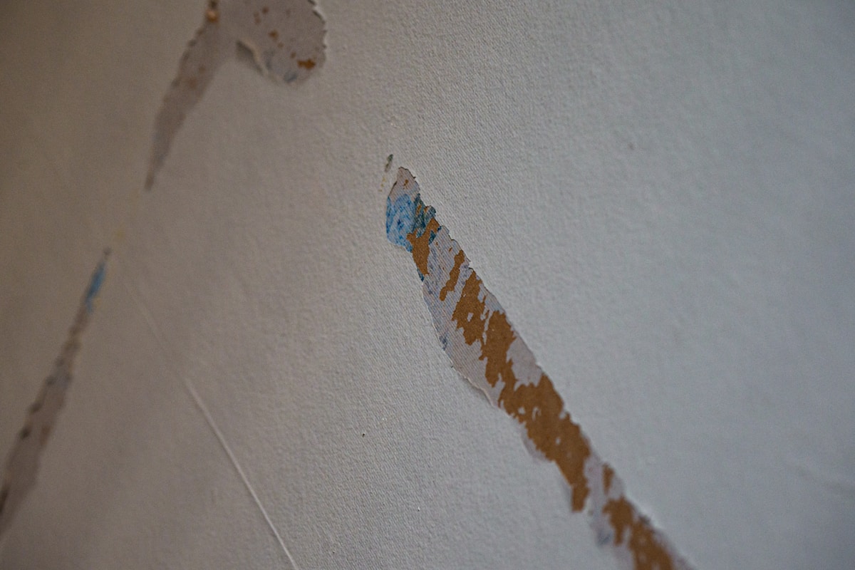 Storm Damage Repair service in Fargo, ND